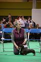 Crufts2011_2 1424